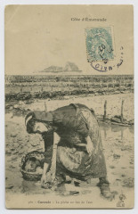 560 - Cancale - La pêche au bas de l'eau