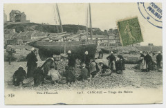 2913. Cancale - Triage des Huîtres