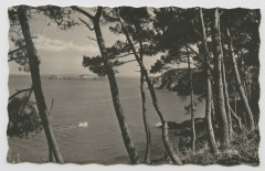 35.049.73  Cancale (ille-et-Vilaine).  Ses incomparables sentiers boisés.