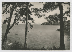 3234 - (I.-et-V.) à Cancale, Port Briac et l'île des Rimains