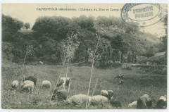 Carentoir (Morbihan). - Château du Mur et Camp Romain.