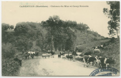 Carentoir (Morbihan). - Château du Mur et Camp Romain.