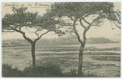 1817 - La Vicomte - Au Loin Dinard.