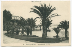 6. - Dinard (Bretagne). - La Palmeraie - G. M.
