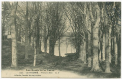 3992. - La Vicomte. - Un Sous-Bois G. F.