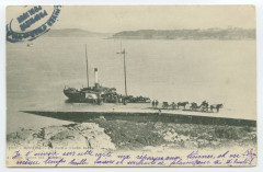 250. - Dinard. - La cale à marée basse.