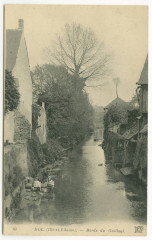 63  Dol (Ille-et-Vilaine) : - Bords du Guilloul.