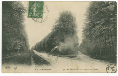 42.  Fougeres - Entrée en Forêt.