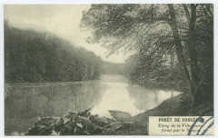 Foret De Fougeres. Etang de la Villegontier formé par le Nançon.