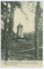 4769. Le Grand-Fougeray (I.-et-V.) - La Tour vue à travers bois. .