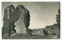 Hede (I.-et-V.), Les Ruines du Château.