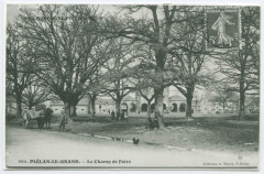 8801. Plelan-Le-Grand - Le Champ de Foire.