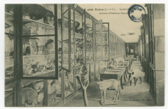 4699. Redon (I.etV.). - Institution St-Sauveur.- Galerie d'histoire naturelle