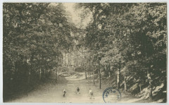 [RENNES. - Jardin des Plantes, le Thabor : une allée] -
													35 Ille et Vilaine
												