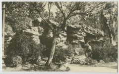 110. - Rennes. - Le Thabor