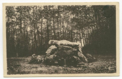 St-Aubin-du-Cormier (I.-et-V.)  2193  - la Fontaine Minérale du Rocher du Parc.