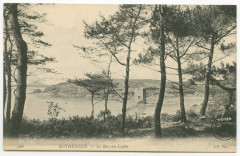 566 - Rotheneuf. - Le Bois du Lupin