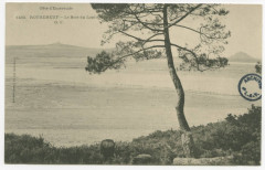 1483.- Rotheneuf - Le Bois du Lupin - Côte d'Emeraude