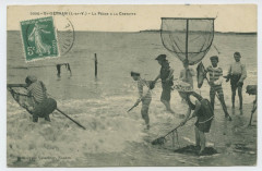 3356 - St Servan (I.-et-V.) - La pêche à la crevette