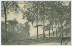 Les bords de la Rance -  741.-  Saint-Servan - Le bois de Troctin.