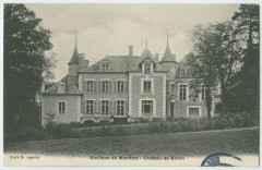 Environs de Montfort - Château de Bintin