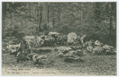 537. Thorigné-sur-Vilaine  (I-&-V.) - Rochers sous bois, dans la Forêt de Rennes