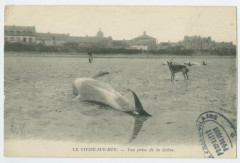 Le Vivier-Sur-Mer. - Vue prise de la Grève.