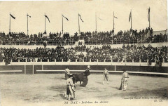 Dax (Landes) - Corrida - corrida 2