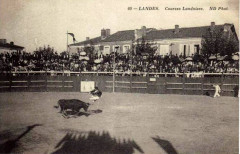 Dax (Landes) - Courses landaises 3