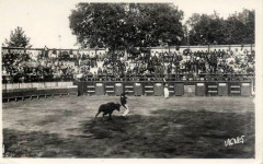 Castets (Landes) – Corrida 2