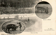 Dax (Landes) - Corrida - corrida 1