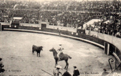 Dax (Landes) - Corrida - picador 4