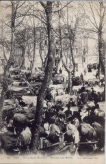 Dax (Landes) - Marché aux boeufs 4