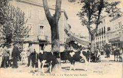 Dax (Landes) - Marché aux boeufs 5