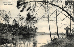 Pouillon (Landes) - Etang 2