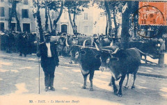 Dax (Landes) - Marché aux boeufs 3