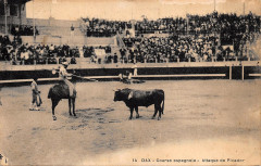 Dax (Landes) - Corrida - picador 2