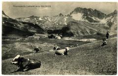 Hautes-Alpes Pâturages du Lautaret et Galibier animaux animé