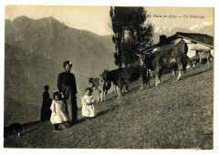 Savoie Dans les Alpes Un Pâturage animé animaux -
													73 Savoie
												