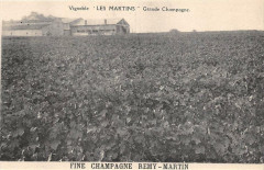 Vignoble Les Martins Grande Champagne Fine Remy Martin -
													16 Charente
												