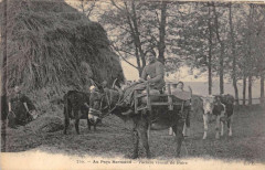 Au Pays Normand Vachere Venant De Traire -
													50 Manche
												