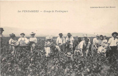 Les Vendanges Groupe De Vendangeurs -
													71 Saône et Loire
												