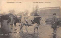La Normandie Un Bon Eleve (Gros Plan