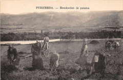 Puigcerda Recoleccion De Patatos -
													66 Pyrénées Orientales
												