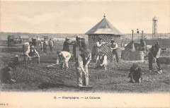 Champagne La Colonie