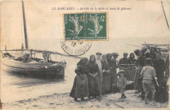 Le Barcares Arrivee De La Peche Et Vente De Poissons