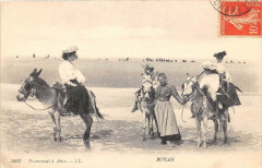 Royan Promenade A Anes à Royan
