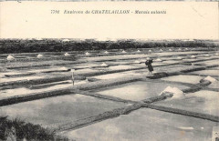 Environs Chatelaillon Marais Salants