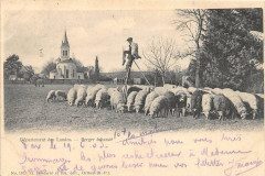 Departement Des Landes Bergier Echassie (dos non divisé)