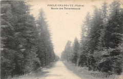 Poule Chansaye Route Des Echarmeaux